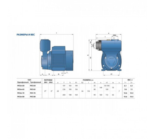 Поверхностный насос Pedrollo РKSm 60